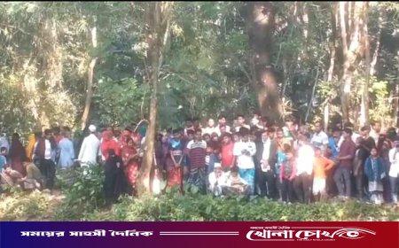 মাদারীপুরের কালকিনিতে যুবকের ভাসমান লাশ উদ্ধার