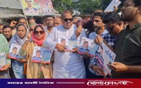 সাটডাউন-লকডাউন দিয়ে কিছু হবে না, জনগণ নির্বাচনই চায় - মীর সরফত আলী সপু