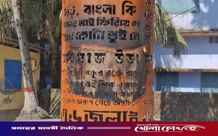 জুলাই স্মৃতিস্তম্ভে অগ্নিসংযোগ: জড়িতদের দৃষ্টান্তমূলক শাস্তির দাবি মাসুদ সাঈদীর