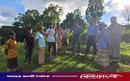 নদী রক্ষায় আলীকদমের তামাক বিরোধী অভিযান: বিকল্প চাষে ঝুঁকছেন কৃষকরা