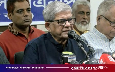 হাসিনার রায় ঘিরে অরাজকতার চেষ্টা করছে একটি মহল: মির্জা ফখরুল