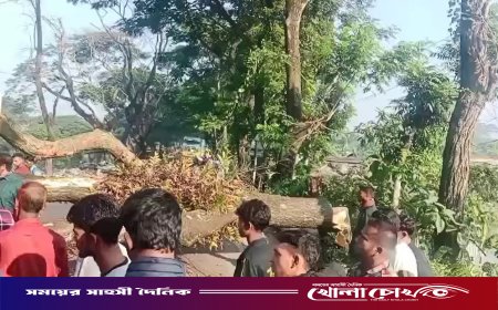 মাদারীপুরের কালকিনিতে গাছ ফেলে মহাসড়ক অবরোধ