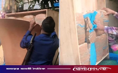 নওগাঁয় কুরিয়ার পার্সেলে লুকানো ২০ কেজি গাঁজা উদ্ধার