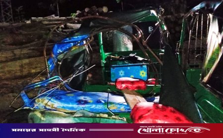 কাপ্তাইয়ে বন্যহাতির তাণ্ডব: অটোরিকশা থামিয়ে আক্রমণ, প্রাণ গেল ঝর্ণা চাকমার