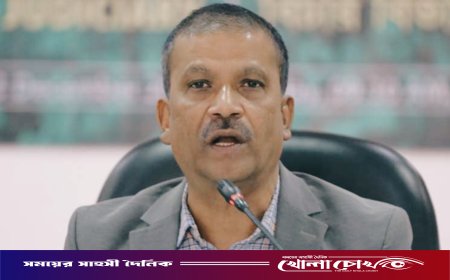 হাসিনাকে ফিরিয়ে দিতে ভারতকে ফের চিঠি দেবে সরকার - অধ্যাপক ড. আসিফ নজরুল বলেছেন