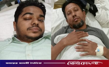 পিরোজপুরে দুর্বৃত্তদের হামলায় দুই সাংবাদিক আহত