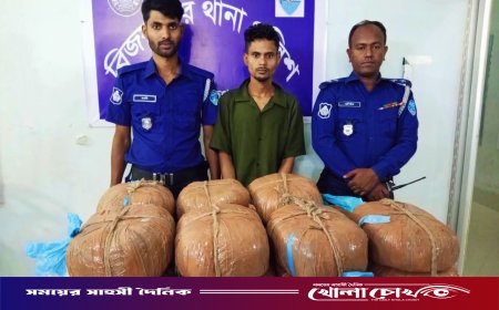 বিজয়নগরে পুলিশের অভিযানে ৩০ কেজি গাঁজা উদ্ধার