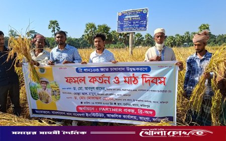 ভাঙ্গায় ব্রি-ধান ১০৩ এর মাঠ দিবস অনুষ্ঠিত