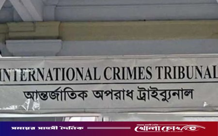 রাজসাক্ষীর জেরাকে ঘিরে ট্রাইব্যুনালে উত্তেজনা