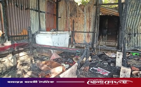 মহম্মদপুরে বসতঘরে ভয়াবহ আগুনে কৃষকের সবকিছু পুড়ে ছাই
