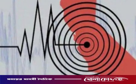 রাজধানীসহ দেশের বিভিন্ন স্থানে ভূমিকম্প, আতঙ্কে মানুষজন