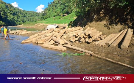 রুমার পান্তলায় জোত পারমিটের আড়ালে ভয়াবহ বন ধ্বংস