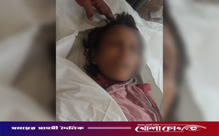 ফরিদপুরের ভাঙ্গায় সড়ক দুর্ঘটনায় অজ্ঞাতনামা মহিলা পাগলের মৃত্যু