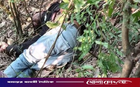 বোয়ালমারীতে সড়কের পাশে অজ্ঞাত ব্যক্তির লাশ উদ্ধার