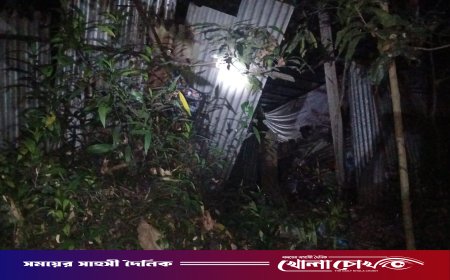 শ্রীনগরে নালিশী সম্পত্তিতে জোরপূর্বক দখলের চেষ্টা