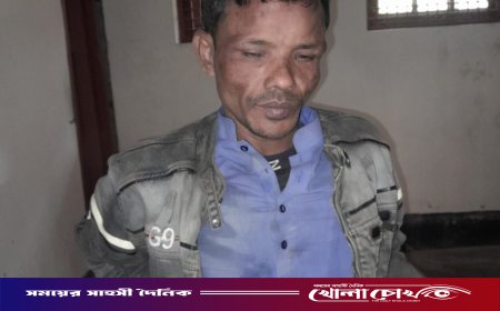 চরভদ্রাসনে ছয় ভরি স্বর্ণ ও নগদ টাকা চুরির ঘটনায় এক গ্রেফতার