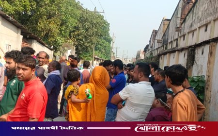 ফরিদপুরের কানাইপুরে বিদ্যুতের তার চুরি করতে গিয়ে এক ব্যক্তির মৃত্যু