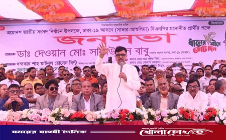 আশুলিয়ার পাথালিয়ায় ত্রয়োদশ জাতীয় সংসদ নির্বাচনকে সামনে রেখে বিএনপির জনসভা