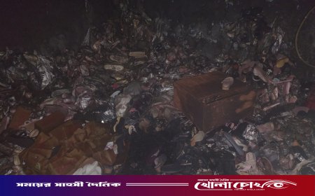 আলফাডাঙ্গা বাজারে ভয়াবহ অগ্নিকাণ্ড: সু স্টোরের গোডাউন পুড়ে ছাই