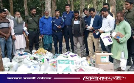 মধুখালীতে ভেজাল কীটনাশক তৈরির অভিযোগে একজন কারাদণ্ডিত