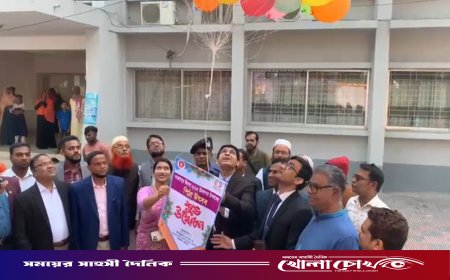 তারুণ্যের উৎসব উপলক্ষে পিঠা উৎসবের উদ্বোধন করলেন - জেলা প্রশাসক