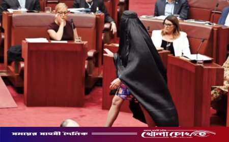 বিকৃতভাবে বোরকা পরে বরখাস্ত অস্ট্রেলীয় সিনেটর