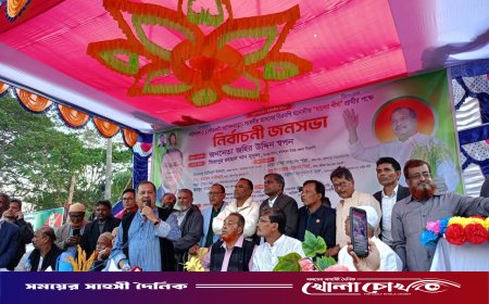 বরিশাল–১ আসনে ধানের শীষের প্রচারণা শুরু