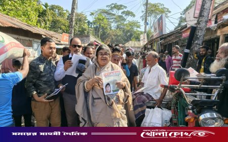 পিরোজপুরে এলিজা জামানের নেতৃত্বে তারেক রহমানের ৩১ দফার লিফলেট বিতরণ অনুষ্ঠিত