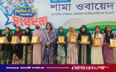 পাংশায় রাসেল ভাইপার সাপের কামড়ে কৃষক হাসপাতালে