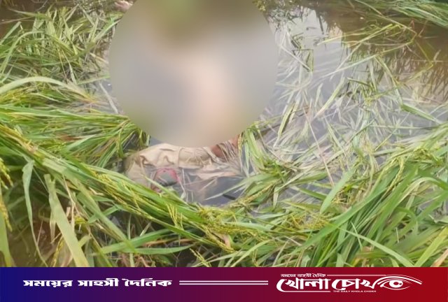 নওগাঁয় ধানক্ষেতে ভ্যানচালকের লাশ উদ্ধার