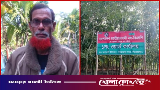 বিএনপির কার্যালয়ের সাইনবোর্ড সাঁটিয়ে প্রবাসীর জমি দখল