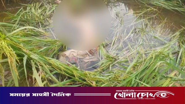 নওগাঁয় ধানক্ষেতে ভ্যানচালকের লাশ উদ্ধার