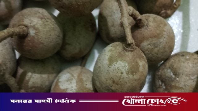 গ্রামবাংলার স্বাদ ও স্মৃতি মিশে থাকা বুনো আমড়া-নিঃশব্দে হারিয়ে যাচ্ছে সবুজ ঐতিহ্য