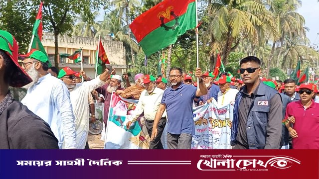 নেছারাবাদে জাতীয় বিপ্লব ও সংহতি দিবস উদযাপিত