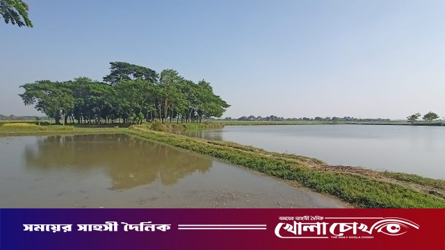 ইছামতি বিল-ফসল,মাছ আর পদ্মফুলে সাজানো প্রকৃতির অপার সৌন্দর্য