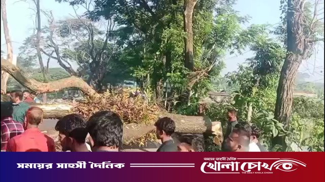 মাদারীপুরের কালকিনিতে গাছ ফেলে মহাসড়ক অবরোধ