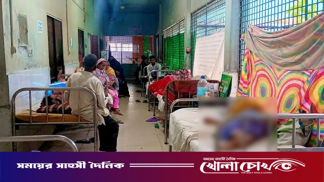 নওগাঁয় মশার উপদ্রবে অতিষ্ঠ পৌরবাসী, চলতি বছরে ডেঙ্গুতে আক্রান্ত ৩২৪ জন