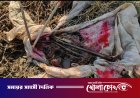নগরকান্দায় ফসলি জমি থেকে কাফনের কাপড়ে মোড়ানো রহস্যময় বস্তু উদ্ধার