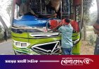 মাদারীপুরে বাস নিয়ন্ত্রণ হারিয়ে গাছে ধাক্কা: আহত অন্তত ২০