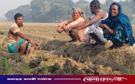সদরপুরে টিএসসি সারের তীব্র সংকট, চাষাবাদে অনিশ্চয়তা
