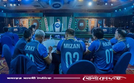 বিপিএল নিলাম ২০২৫: দেশি ক্রিকেটারদের শীর্ষ ১০ চমক