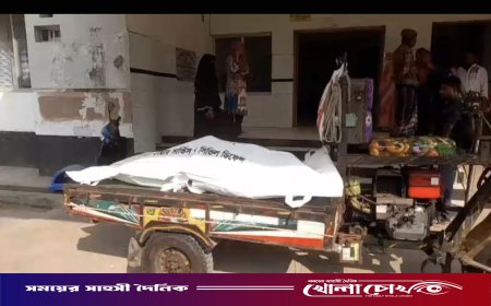 ফরিদপুরের ভাঙ্গায় কাভার্ড ভ্যান–পিকআপ মুখোমুখি সংঘর্ষে ফল ব্যবসায়ীর মৃত্যু