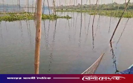 পদ্মায় অবৈধ বাঁধ উচ্ছেদ, কারেন্ট জাল–চায়না দুয়ারি জব্দ