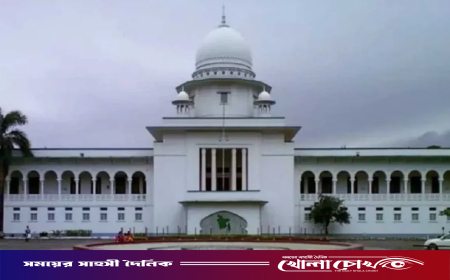 ত্রয়োদশ জাতীয় সংসদ নির্বাচনের কার্যক্রম স্থগিত চেয়ে হাইকোর্টে রিট