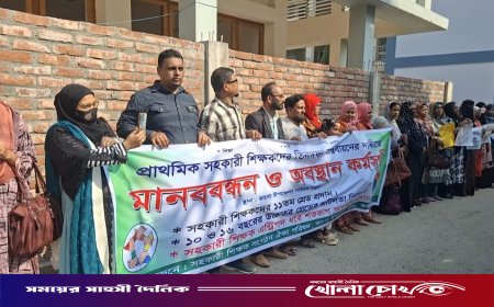 ভাঙ্গায় প্রাথমিক শিক্ষকদের ১১তম গ্রেড বাস্তবায়নের দাবিতে মানববন্ধন ও অবস্থান কর্মসূচি