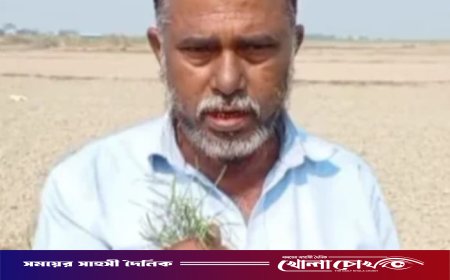 সদরপুরে সাবেক সেনা সদস্য বাচ্চু খালাসীর বিরুদ্ধে ৩০ বিঘা জমি দখলের অভিযোগ