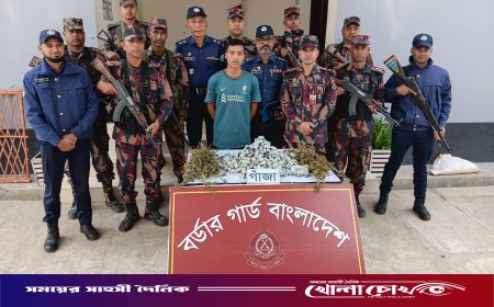 বান্দরবানের গহীন জঙ্গলে গাজা চাষ, চাষী আটক