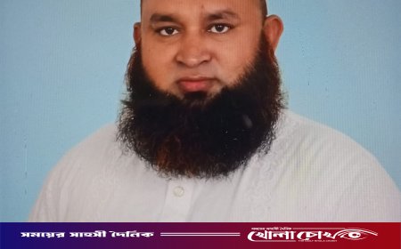 আলগী–হামিরদী আবার ফরিদপুর–৪ আসনে: মিজান মোল্লার অভিনন্দন