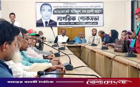নোয়াখালীতে অ্যাডভোকেট আজিজুল হক বকশী স্মরণে নাগরিক শোকসভা‎‎
