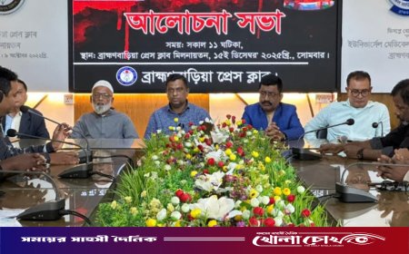 শহীদ বুদ্ধিজীবী ও মহান বিজয় দিবস উপলক্ষে ব্রাহ্মণবাড়িয়া প্রেসক্লাবের আলোচনা সভা